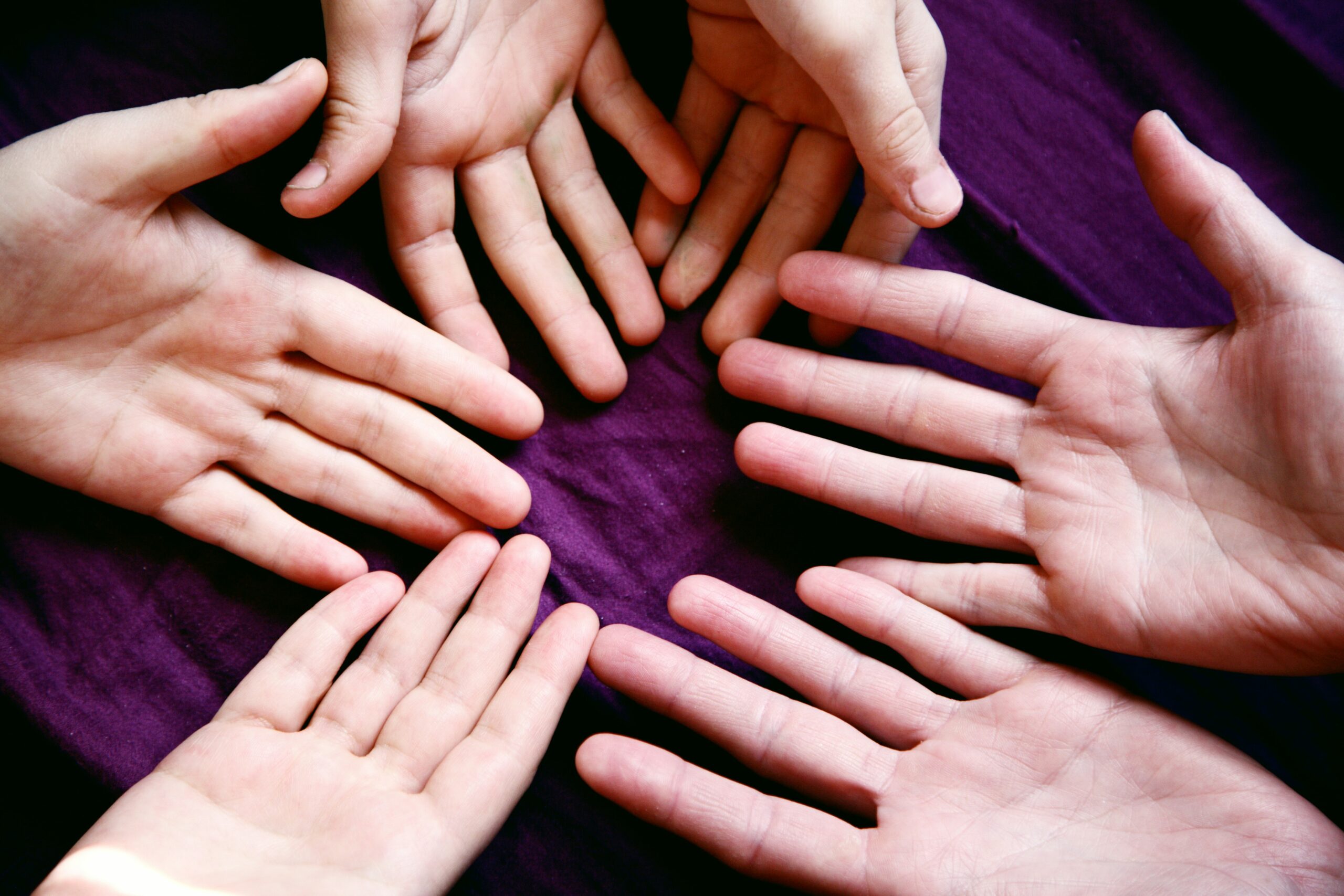 Build Loyal Community